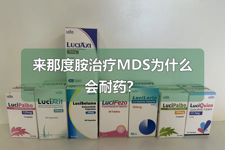 来那度胺治疗MDS为什么会耐药?